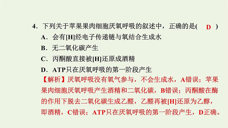 2021_2022学年新教材高中生物高效作业17细胞呼吸的过程课件浙科版必修第一册第5页