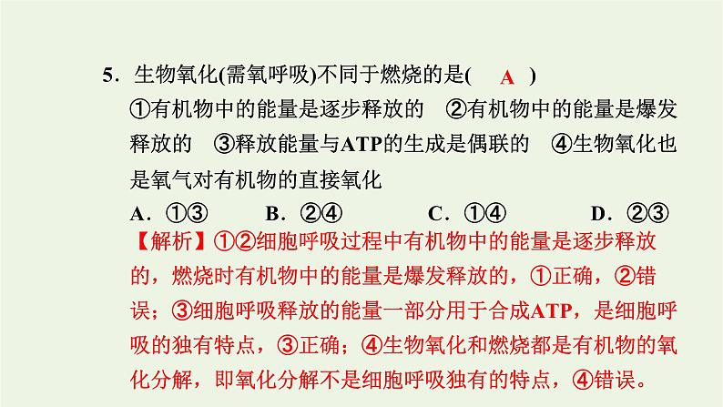 2021_2022学年新教材高中生物高效作业17细胞呼吸的过程课件浙科版必修第一册第6页