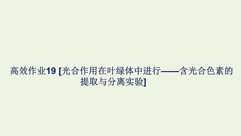 2021_2022学年新教材高中生物高效作业19光合作用在叶绿体中进行__含光合色素的提取与分离实验课件浙科版必修第一册01