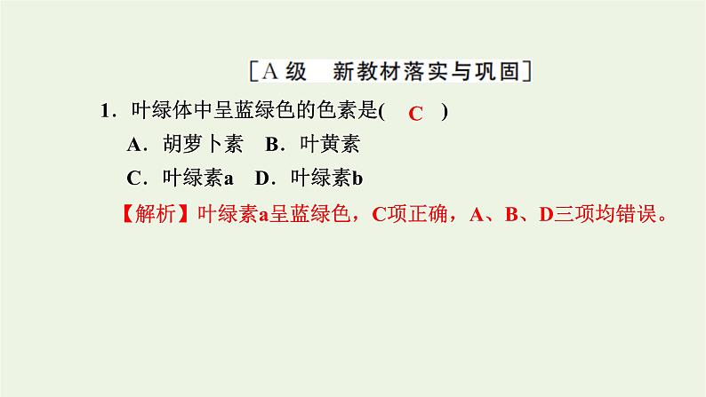 2021_2022学年新教材高中生物高效作业19光合作用在叶绿体中进行__含光合色素的提取与分离实验课件浙科版必修第一册02