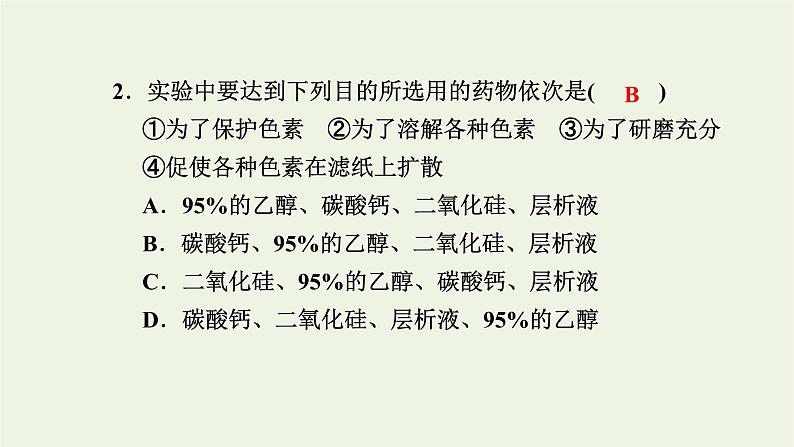 2021_2022学年新教材高中生物高效作业19光合作用在叶绿体中进行__含光合色素的提取与分离实验课件浙科版必修第一册03