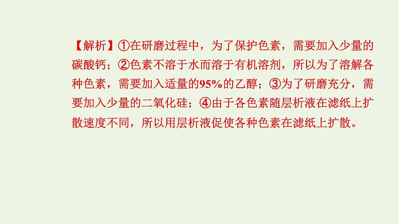 2021_2022学年新教材高中生物高效作业19光合作用在叶绿体中进行__含光合色素的提取与分离实验课件浙科版必修第一册04