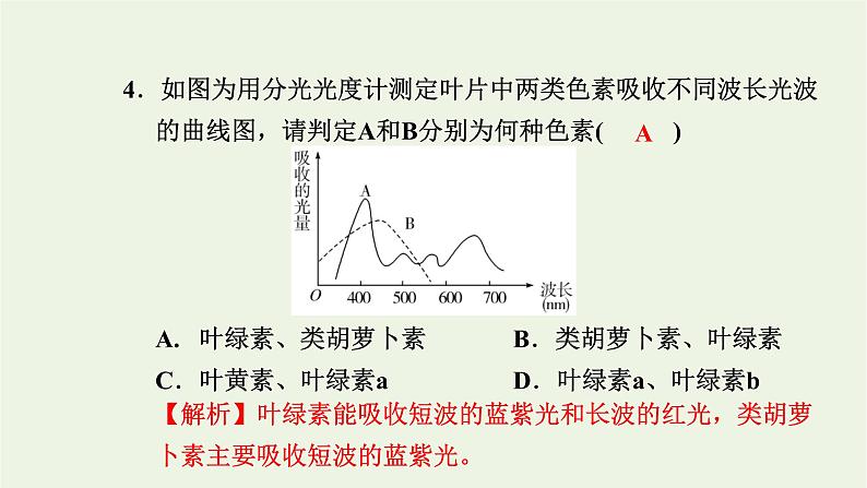 2021_2022学年新教材高中生物高效作业19光合作用在叶绿体中进行__含光合色素的提取与分离实验课件浙科版必修第一册06