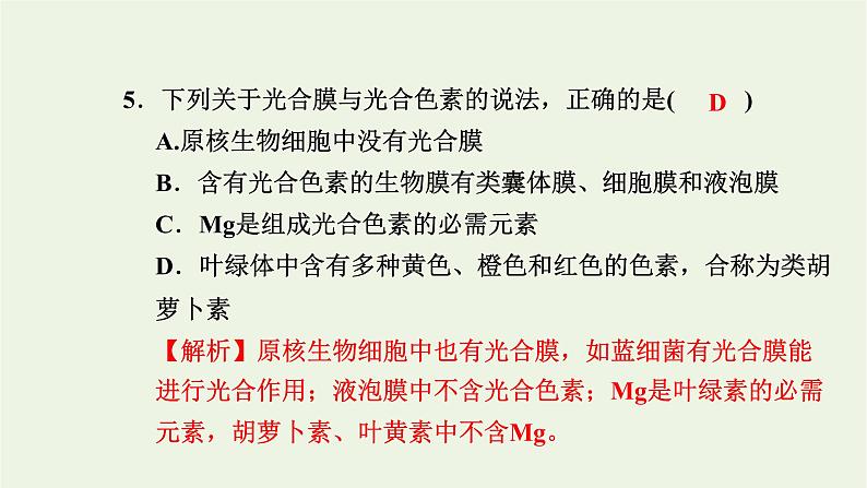 2021_2022学年新教材高中生物高效作业19光合作用在叶绿体中进行__含光合色素的提取与分离实验课件浙科版必修第一册07