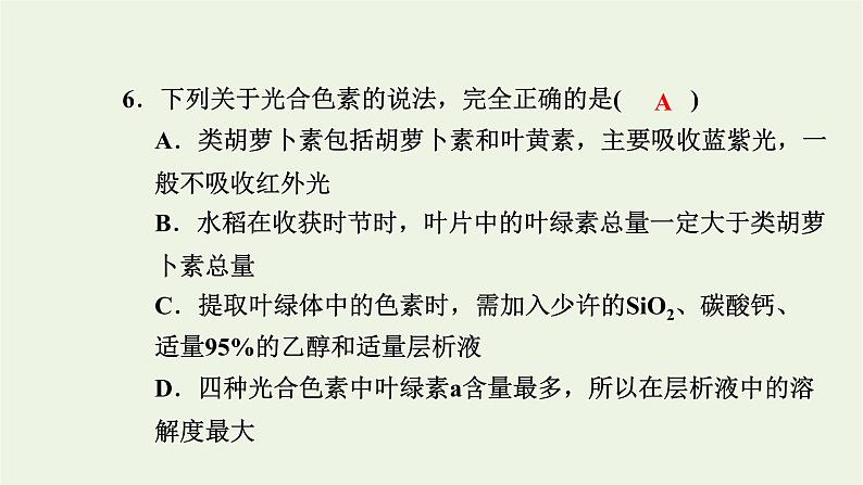 2021_2022学年新教材高中生物高效作业19光合作用在叶绿体中进行__含光合色素的提取与分离实验课件浙科版必修第一册08