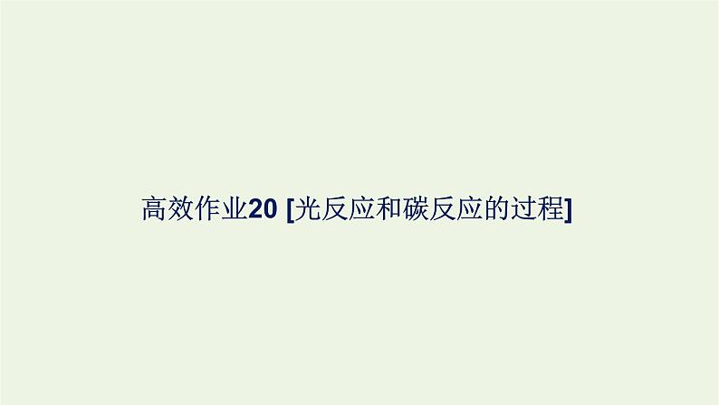 2021_2022学年新教材高中生物高效作业20光反应和碳反应的过程课件浙科版必修第一册01