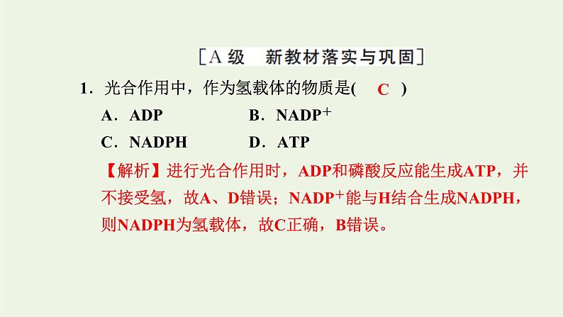 2021_2022学年新教材高中生物高效作业20光反应和碳反应的过程课件浙科版必修第一册02