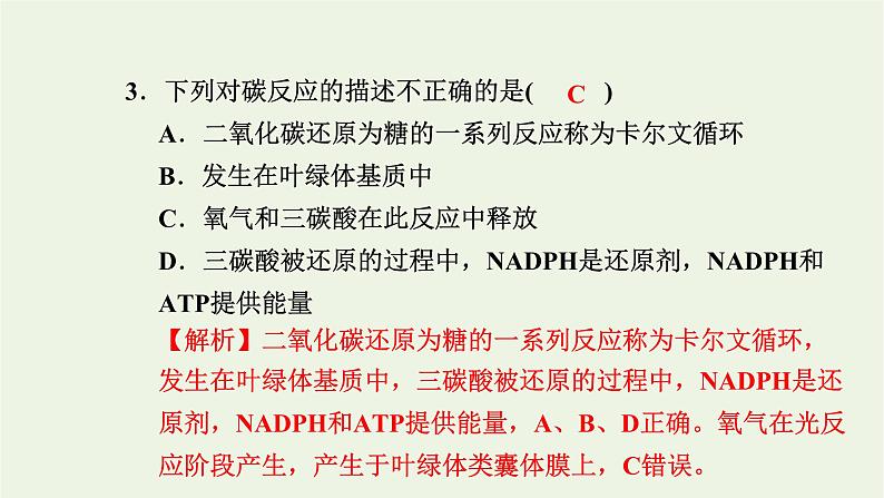 2021_2022学年新教材高中生物高效作业20光反应和碳反应的过程课件浙科版必修第一册04