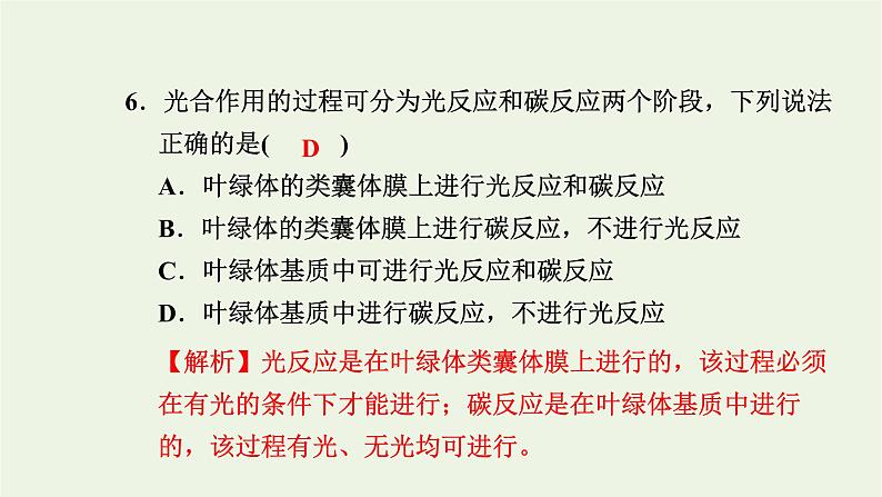 2021_2022学年新教材高中生物高效作业20光反应和碳反应的过程课件浙科版必修第一册07