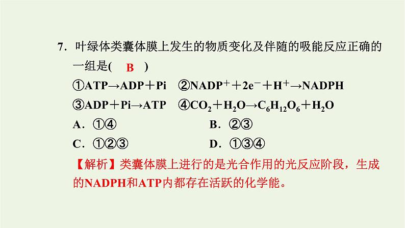 2021_2022学年新教材高中生物高效作业20光反应和碳反应的过程课件浙科版必修第一册08