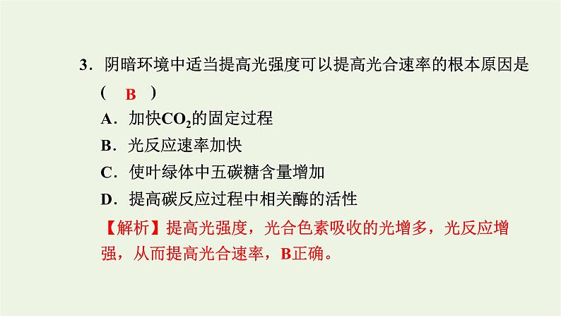 2021_2022学年新教材高中生物高效作业21环境因素影响光合速率一课件浙科版必修第一册04