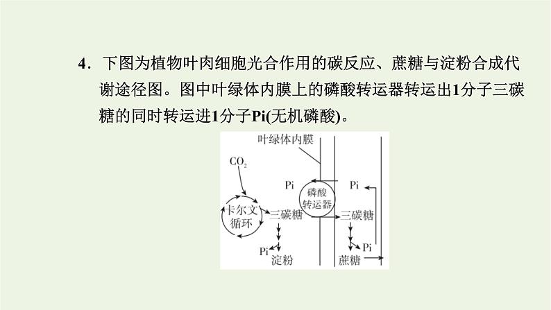 2021_2022学年新教材高中生物高效作业22环境因素影响光合速率二课件浙科版必修第一册第8页