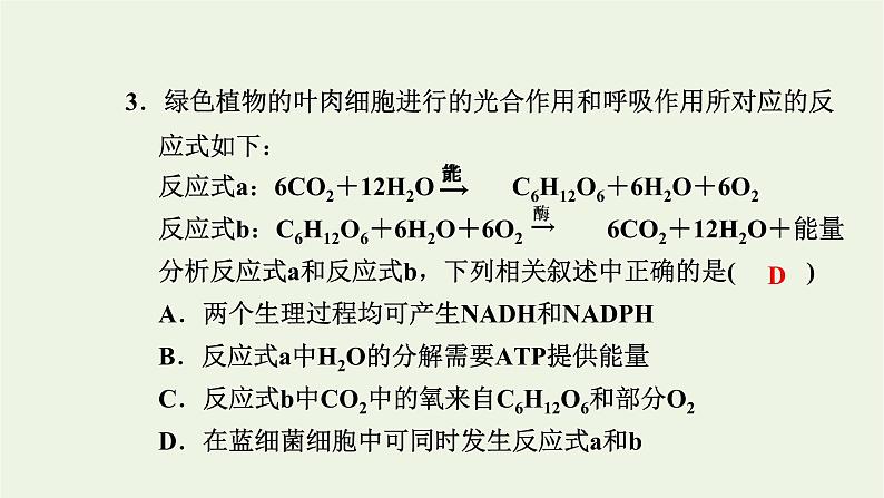 2021_2022学年新教材高中生物高效作业23细胞呼吸和光合作用综合课件浙科版必修第一册06