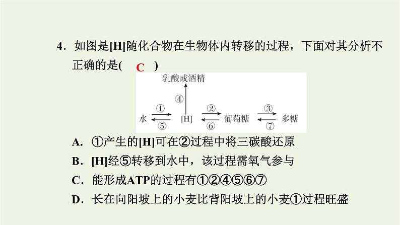 2021_2022学年新教材高中生物高效作业23细胞呼吸和光合作用综合课件浙科版必修第一册08