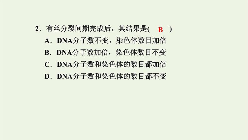 2021_2022学年新教材高中生物高效作业24细胞周期和植物细胞有丝分裂课件浙科版必修第一册第3页