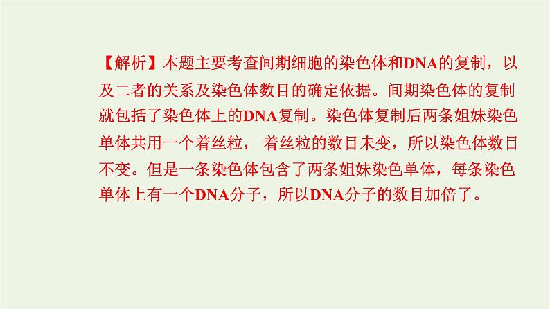 2021_2022学年新教材高中生物高效作业24细胞周期和植物细胞有丝分裂课件浙科版必修第一册第4页