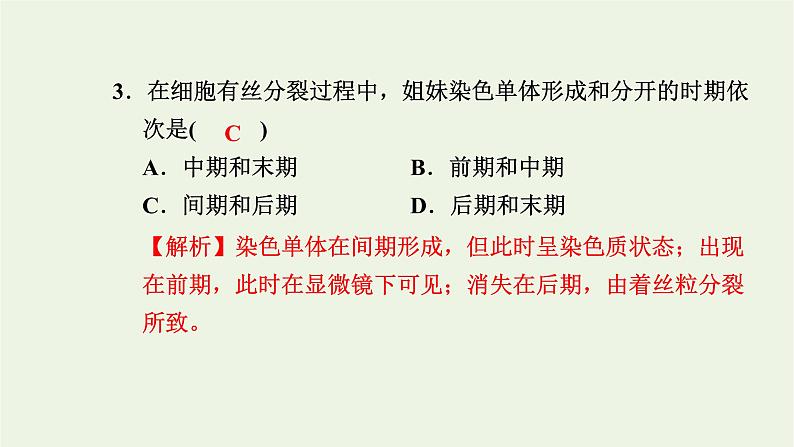 2021_2022学年新教材高中生物高效作业24细胞周期和植物细胞有丝分裂课件浙科版必修第一册第5页