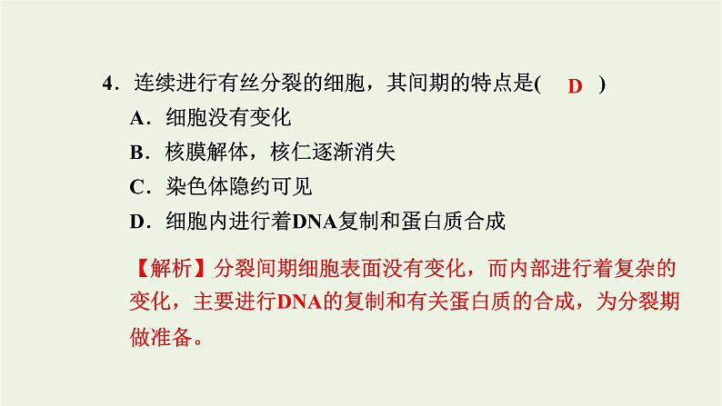 2021_2022学年新教材高中生物高效作业24细胞周期和植物细胞有丝分裂课件浙科版必修第一册第6页