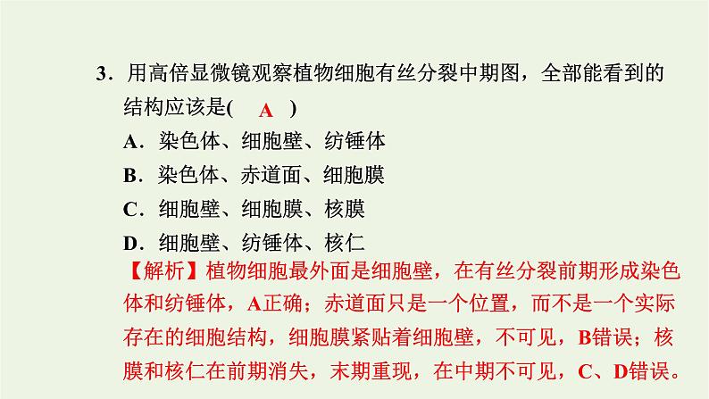 2021_2022学年新教材高中生物高效作业25动植物细胞有丝分裂的区别和观察有丝分裂实验课件浙科版必修第一册第4页