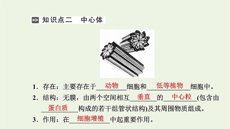 2021_2022学年新教材高中生物第二章细胞的结构第三节第2课时液泡中心体细胞溶胶细胞骨架观察叶绿体和细胞质流动课件浙科版必修第一册05