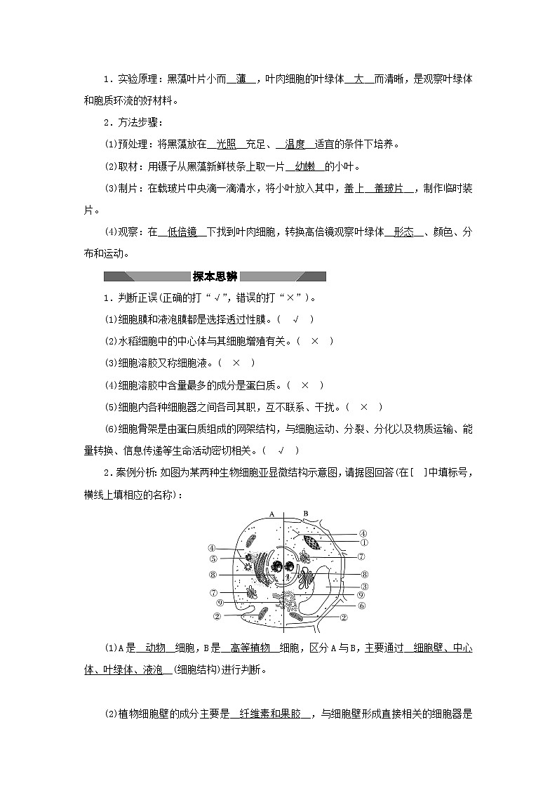 2021_2022学年新教材高中生物第二章细胞的结构第三节第2课时液泡中心体细胞溶胶细胞骨架观察叶绿体和细胞质流动学案浙科版必修第一册03