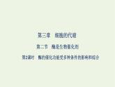 2021_2022学年新教材高中生物第三章细胞的代谢第二节第2课时酶的催化功能受多种条件的影响和综合课件浙科版必修第一册
