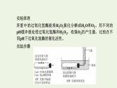 2021_2022学年新教材高中生物第三章细胞的代谢第二节第2课时酶的催化功能受多种条件的影响和综合课件浙科版必修第一册