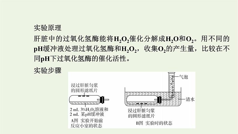 2021_2022学年新教材高中生物第三章细胞的代谢第二节第2课时酶的催化功能受多种条件的影响和综合课件浙科版必修第一册03