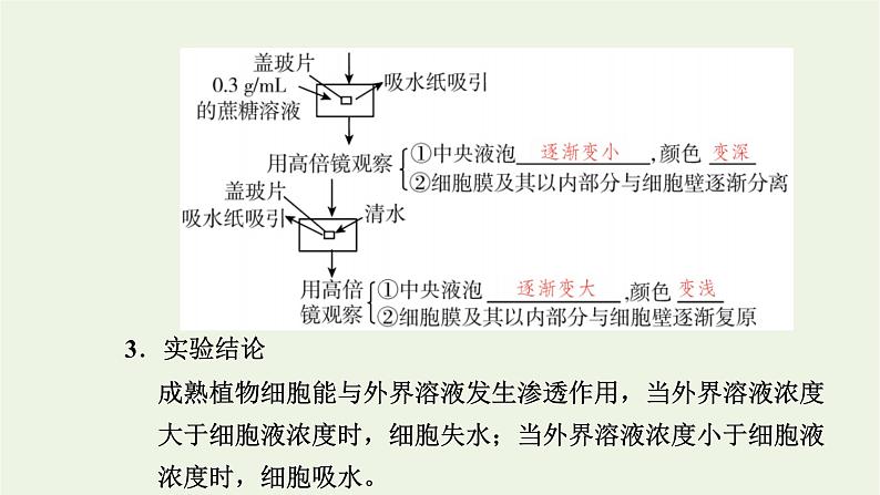 2021_2022学年新教材高中生物第三章细胞的代谢第三节第1课时扩散和渗透质壁分离及质壁分离复原实验课件浙科版必修第一册第8页