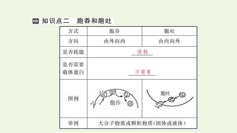 2021_2022学年新教材高中生物第三章细胞的代谢第三节第2课时易化扩散主动转运胞吞和胞吐课件浙科版必修第一册第5页