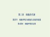 2021_2022学年新教材高中生物第三章细胞的代谢第四节第1课时细胞呼吸的过程课件浙科版必修第一册