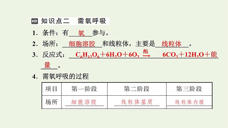 2021_2022学年新教材高中生物第三章细胞的代谢第四节第1课时细胞呼吸的过程课件浙科版必修第一册04