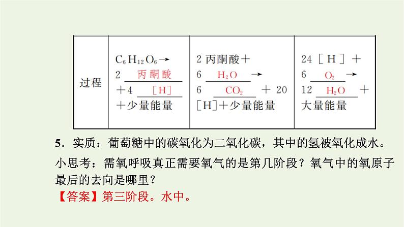 2021_2022学年新教材高中生物第三章细胞的代谢第四节第1课时细胞呼吸的过程课件浙科版必修第一册05