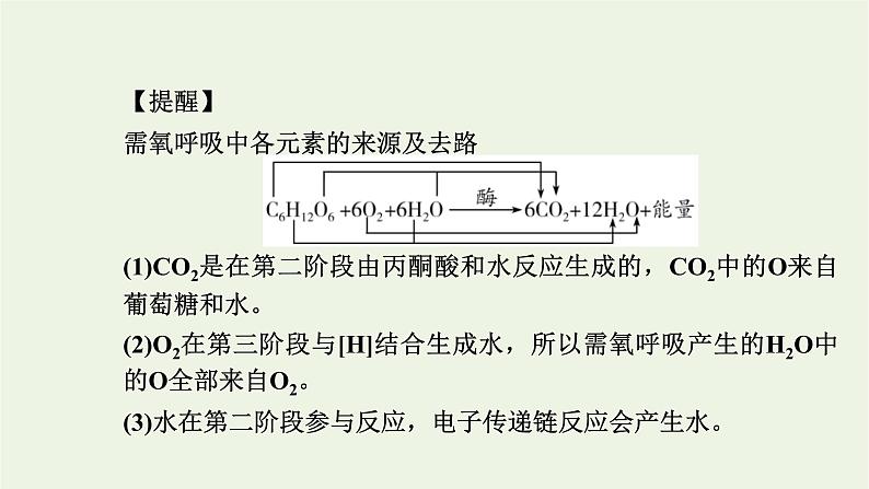 2021_2022学年新教材高中生物第三章细胞的代谢第四节第1课时细胞呼吸的过程课件浙科版必修第一册06