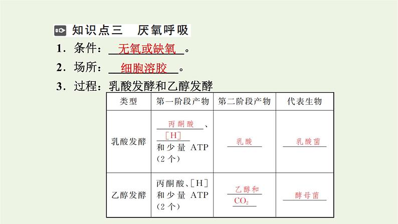 2021_2022学年新教材高中生物第三章细胞的代谢第四节第1课时细胞呼吸的过程课件浙科版必修第一册07