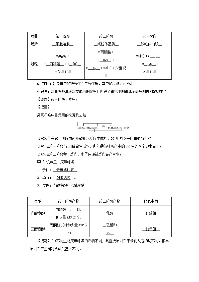 2021_2022学年新教材高中生物第三章细胞的代谢第四节第1课时细胞呼吸的过程学案浙科版必修第一册02
