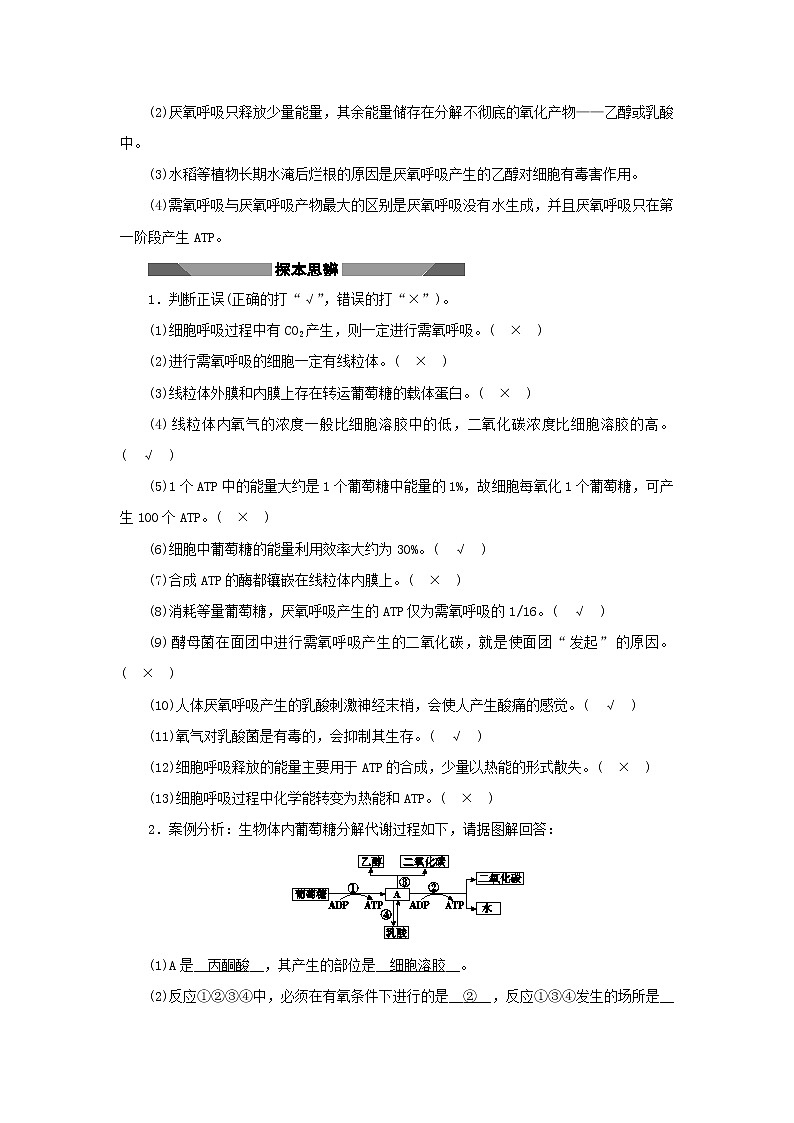 2021_2022学年新教材高中生物第三章细胞的代谢第四节第1课时细胞呼吸的过程学案浙科版必修第一册03