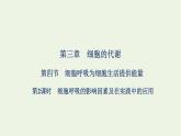 2021_2022学年新教材高中生物第三章细胞的代谢第四节第2课时细胞呼吸的影响因素及在实践中的应用课件浙科版必修第一册