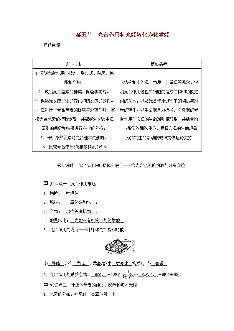 2021_2022学年新教材高中生物第三章细胞的代谢第五节第1课时光合作用在叶绿体中进行__含光合色素的提取与分离实验学案浙科版必修第一册01