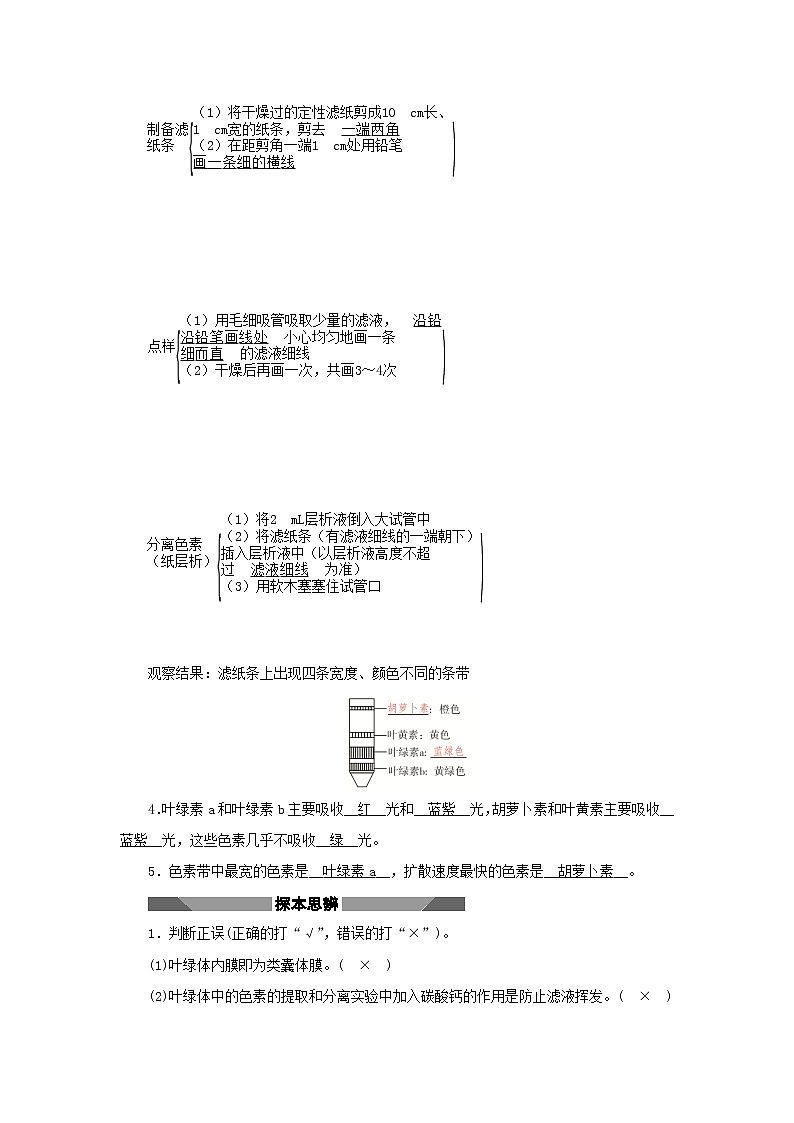2021_2022学年新教材高中生物第三章细胞的代谢第五节第1课时光合作用在叶绿体中进行__含光合色素的提取与分离实验学案浙科版必修第一册03