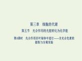 2021_2022学年新教材高中生物第三章细胞的代谢第五节第1课时光合作用在叶绿体中进行__含光合色素的提取与分离实验课件浙科版必修第一册