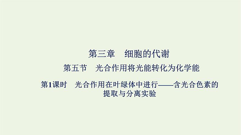 2021_2022学年新教材高中生物第三章细胞的代谢第五节第1课时光合作用在叶绿体中进行__含光合色素的提取与分离实验课件浙科版必修第一册01