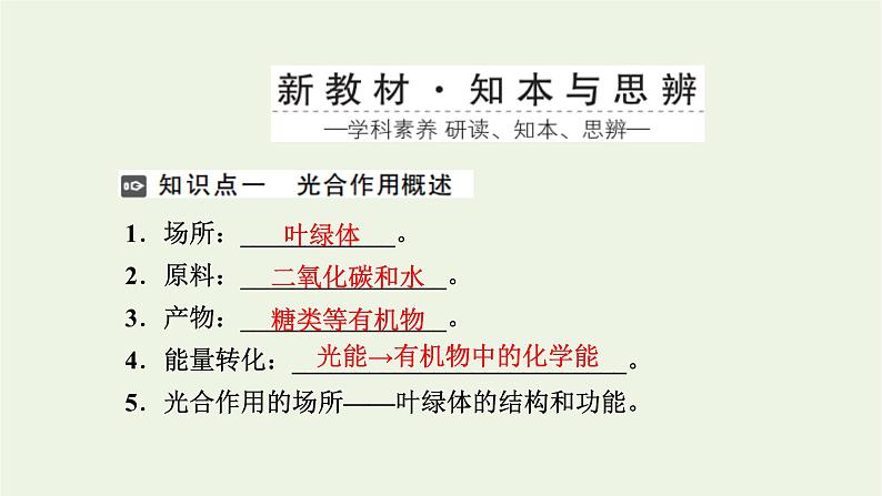 2021_2022学年新教材高中生物第三章细胞的代谢第五节第1课时光合作用在叶绿体中进行__含光合色素的提取与分离实验课件浙科版必修第一册03