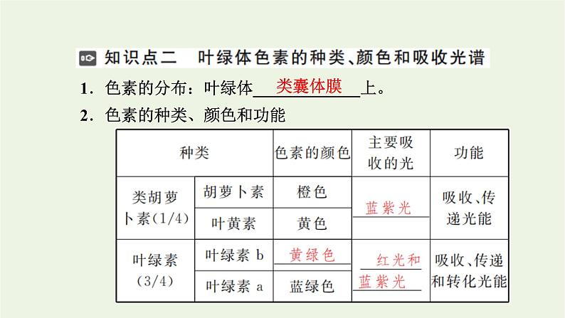 2021_2022学年新教材高中生物第三章细胞的代谢第五节第1课时光合作用在叶绿体中进行__含光合色素的提取与分离实验课件浙科版必修第一册05