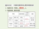 2021_2022学年新教材高中生物第三章细胞的代谢第五节第1课时光合作用在叶绿体中进行__含光合色素的提取与分离实验课件浙科版必修第一册