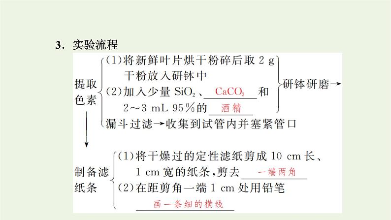 2021_2022学年新教材高中生物第三章细胞的代谢第五节第1课时光合作用在叶绿体中进行__含光合色素的提取与分离实验课件浙科版必修第一册08