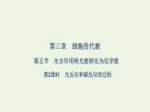 2021_2022学年新教材高中生物第三章细胞的代谢第五节第2课时光反应和碳反应的过程课件浙科版必修第一册
