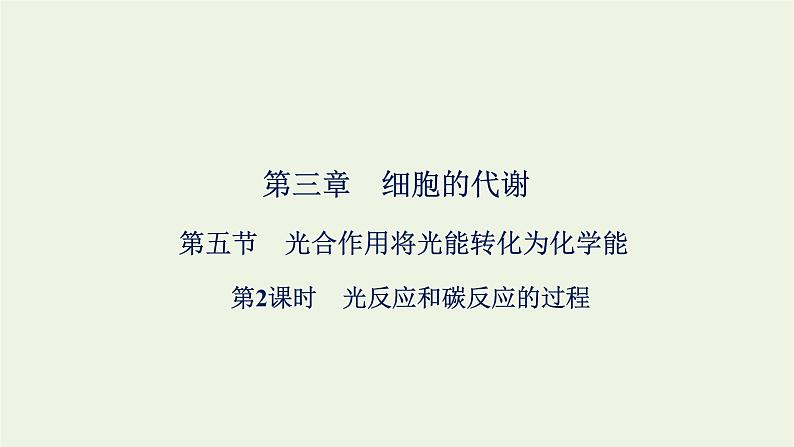 2021_2022学年新教材高中生物第三章细胞的代谢第五节第2课时光反应和碳反应的过程课件浙科版必修第一册01