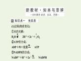 2021_2022学年新教材高中生物第三章细胞的代谢第五节第2课时光反应和碳反应的过程课件浙科版必修第一册