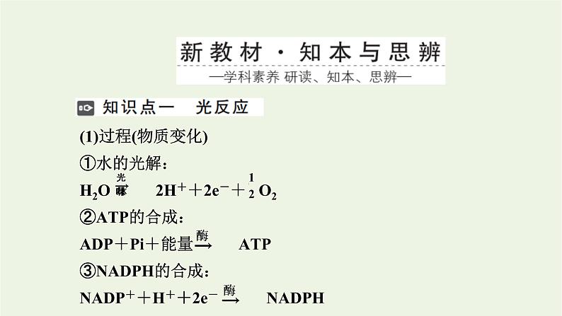 2021_2022学年新教材高中生物第三章细胞的代谢第五节第2课时光反应和碳反应的过程课件浙科版必修第一册02